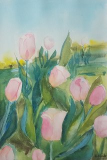 34 tulpen 20x30cm