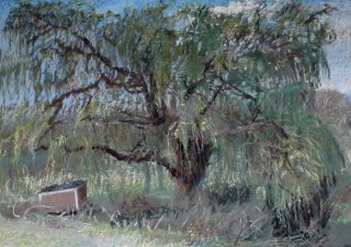 4 willow song