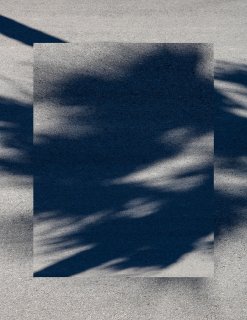 629