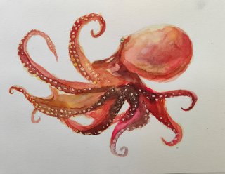 9 octopus