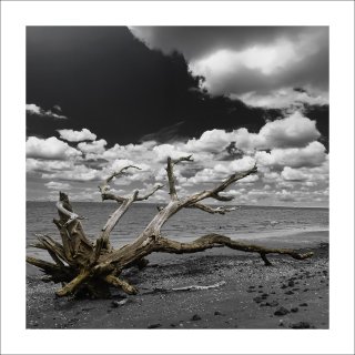 Anatomy tide