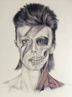 Bowiegallery