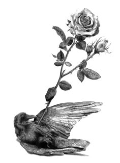 Crowandarrowgallery