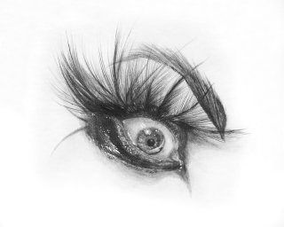 Croweyegallery