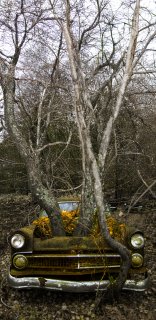 Engine trees