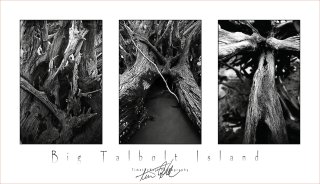 Erosion studies triptych time