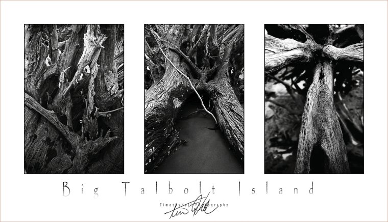 Erosion studies triptych time