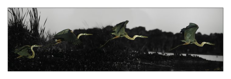 First light first flight