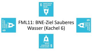 Fml11
