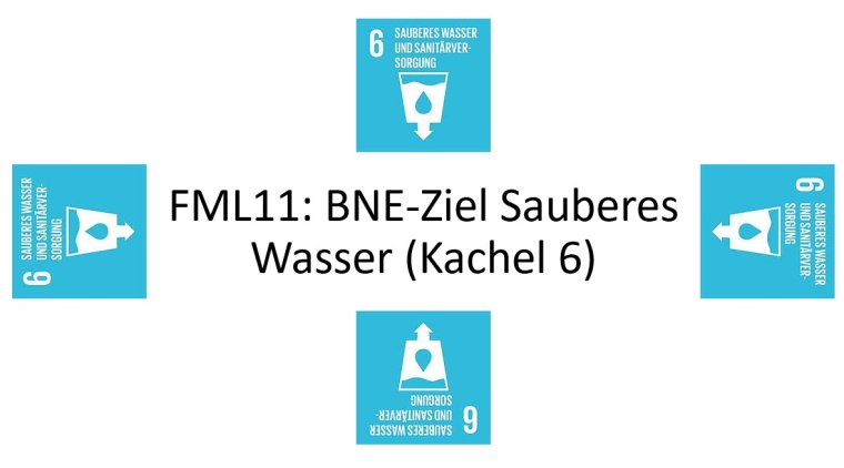 Fml11