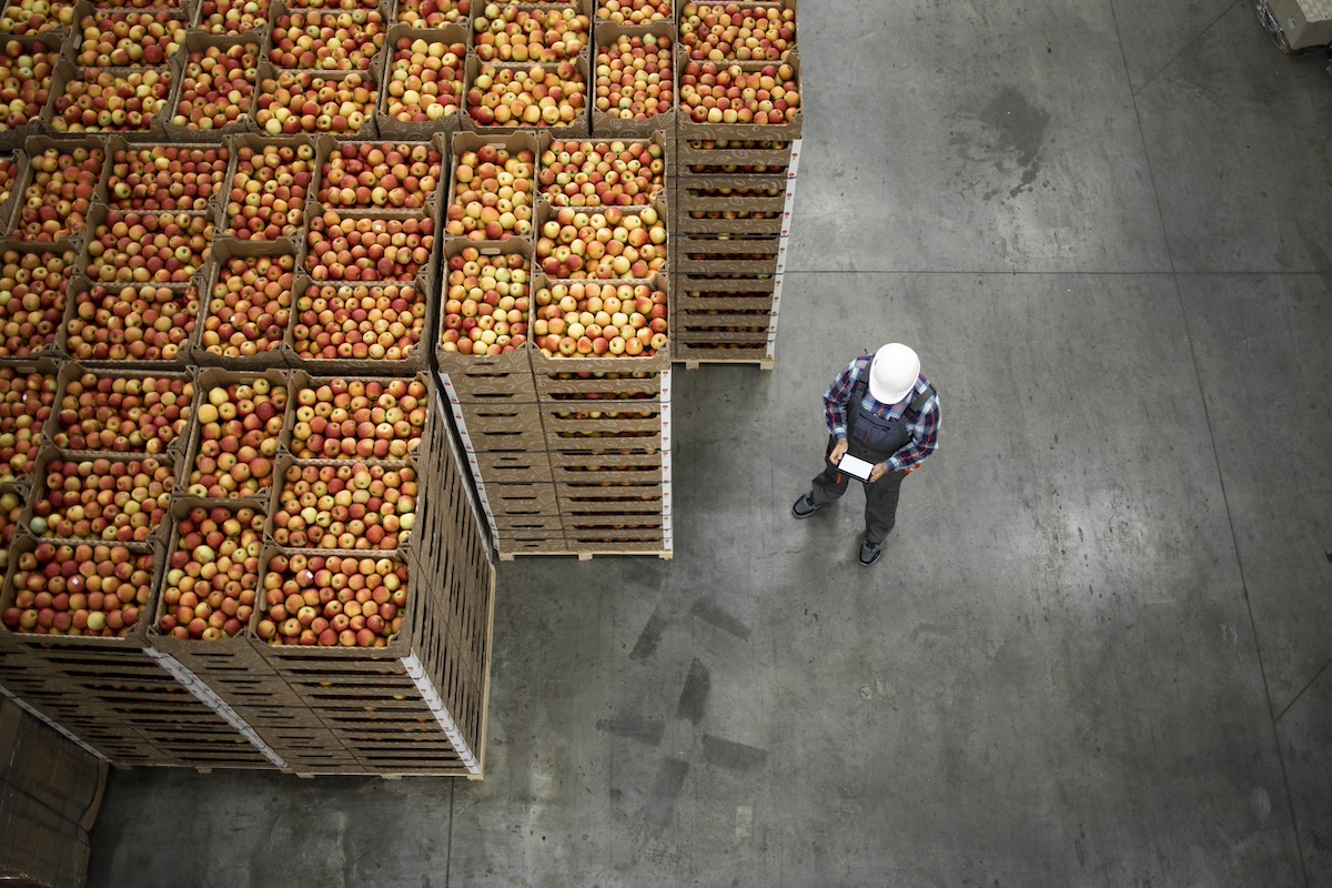 Food supply chain istock 1317777715