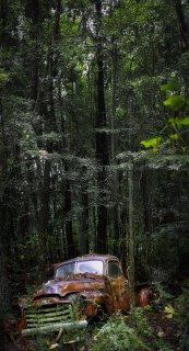 Forest freightliner