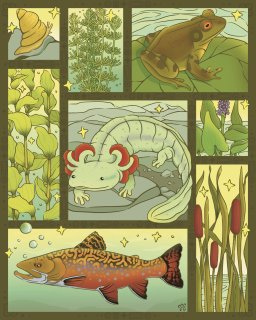 Freshwater floraandfauna