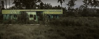 Haunting gator land
