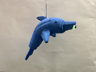Img5575