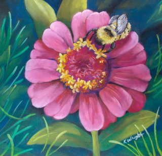 Kim wrightzinniaspollinator lr