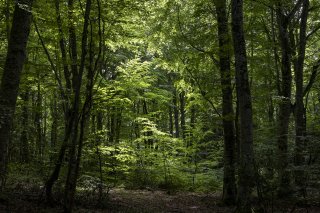 Les 4 saisons de terragree le printemps3f4a0821