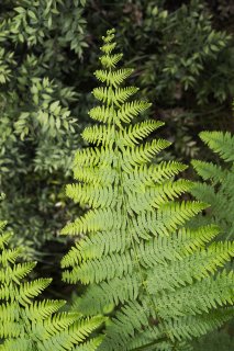 Les 4 saisons de terragree le printemps3f4a3154