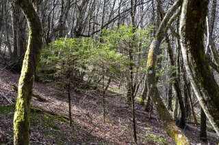 Les 4 saisons de terragree le printempsdsc1808