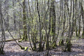 Les 4 saisons de terragree le printempsmg7767