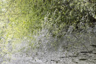 Les 4 saisons de terragree le printempsmg8507