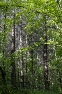 Les 4 saisons de terragree le printempsmg9388