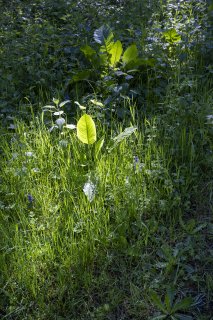 Les 4 saisons de terragree le printempsmg9413