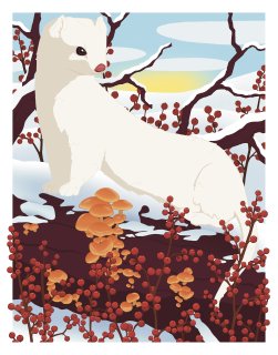 Long tailedweaselandwinterberry