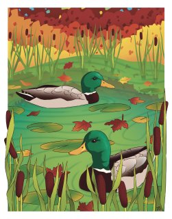 Mallardduckandcattails0