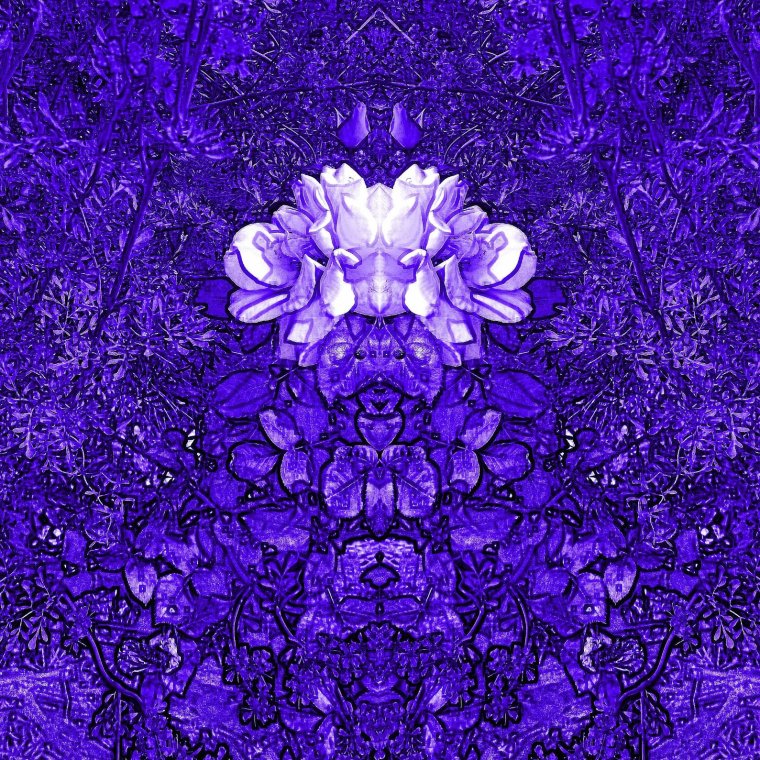 Michaelwagnerhidenformsofflowerstrueblue 1