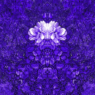 Michaelwagnerhidenformsofflowerstrueblue 1