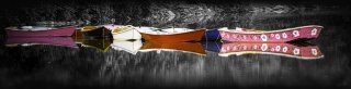 Mirth afloat