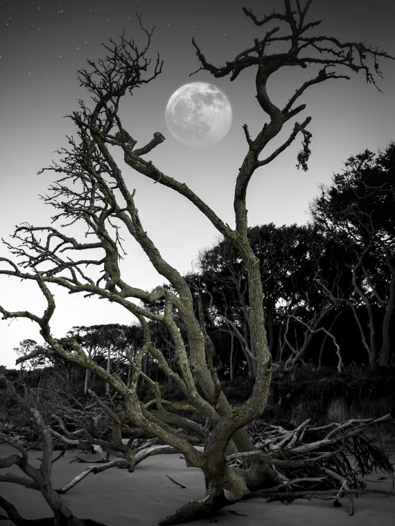 Moon keeper 2