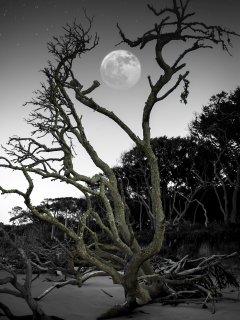 Moon keeper 2