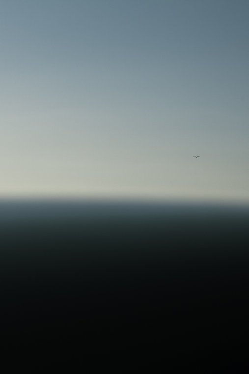 Navarrodiegoaurorauntitled1 1
