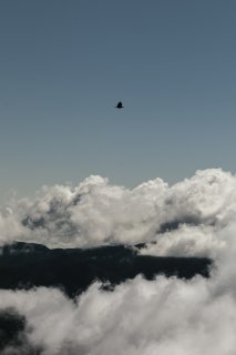 Navarrodiegoaurorauntitled7