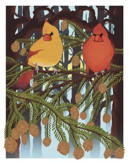 Northerncardinalandhemlocktree