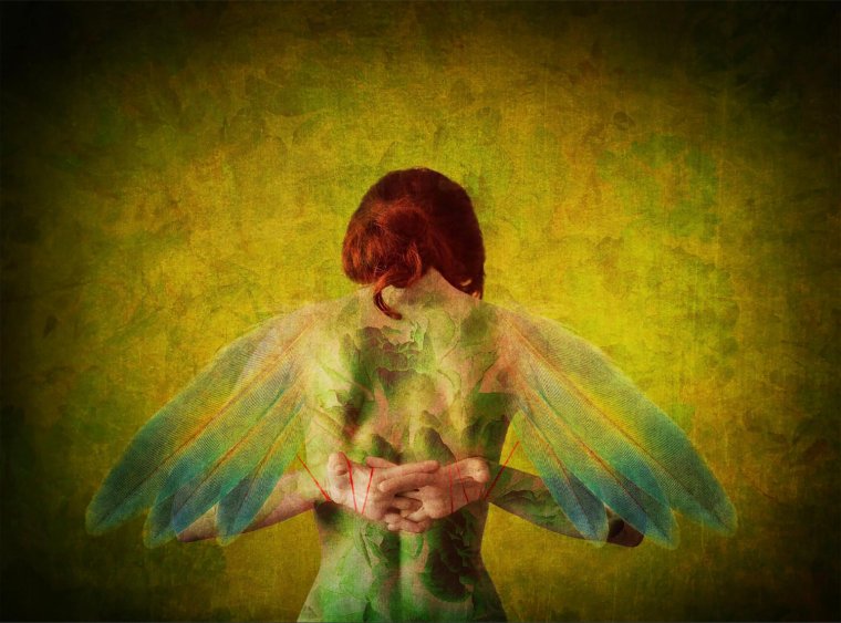 One day i will fly