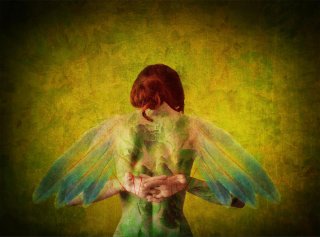 One day i will fly