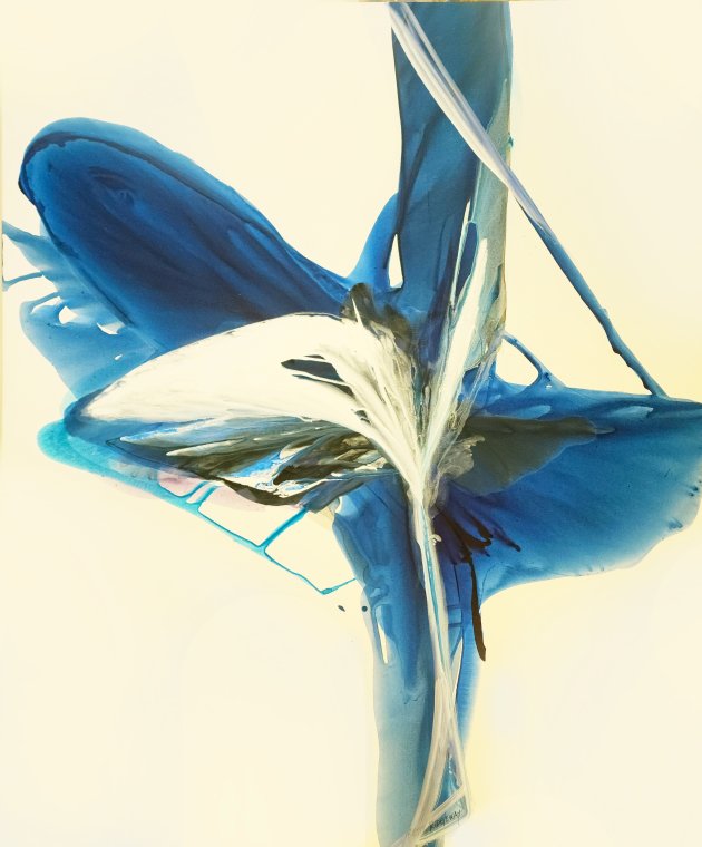 Pas de deuxmaster66x50smaller