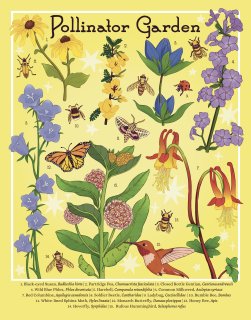 Pollinatorgarden