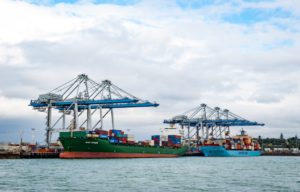 A green container ship unloading cargo at a port, with a pair of blue cranes above it