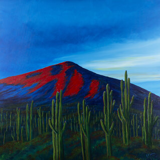 Saguaro valley resize