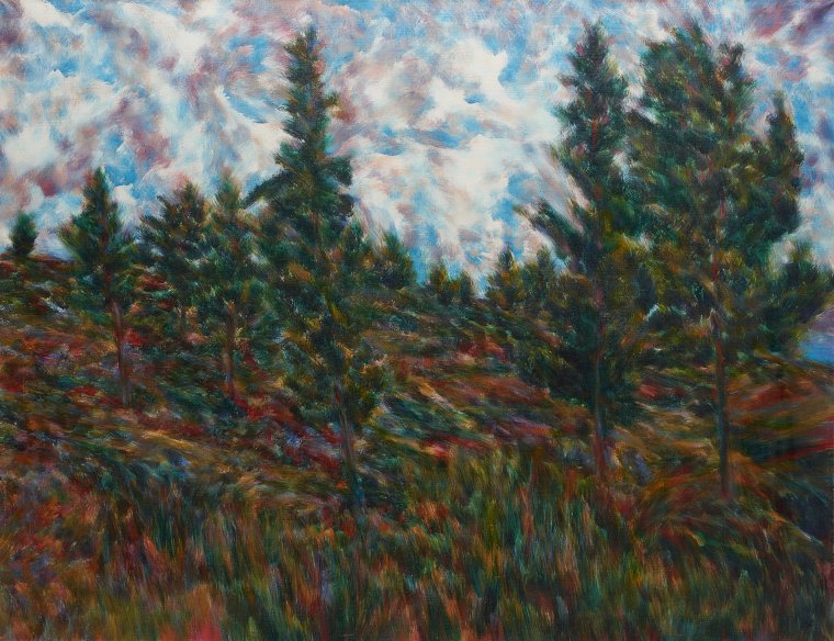 Shaul shatz landscape oil canvas 89x116cm