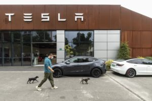 A MAN WALKS HIS DOGS PAST A TESLA SHOWROOM