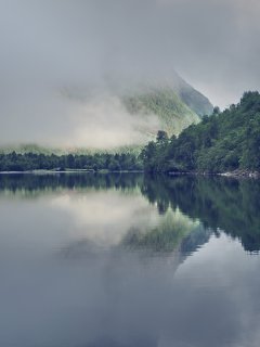Thewindow 1