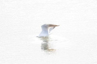 Unter wasser