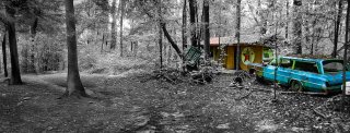 Vacancy pines