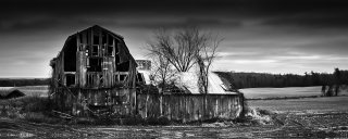What remains last harvest