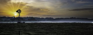 Where morning breathes